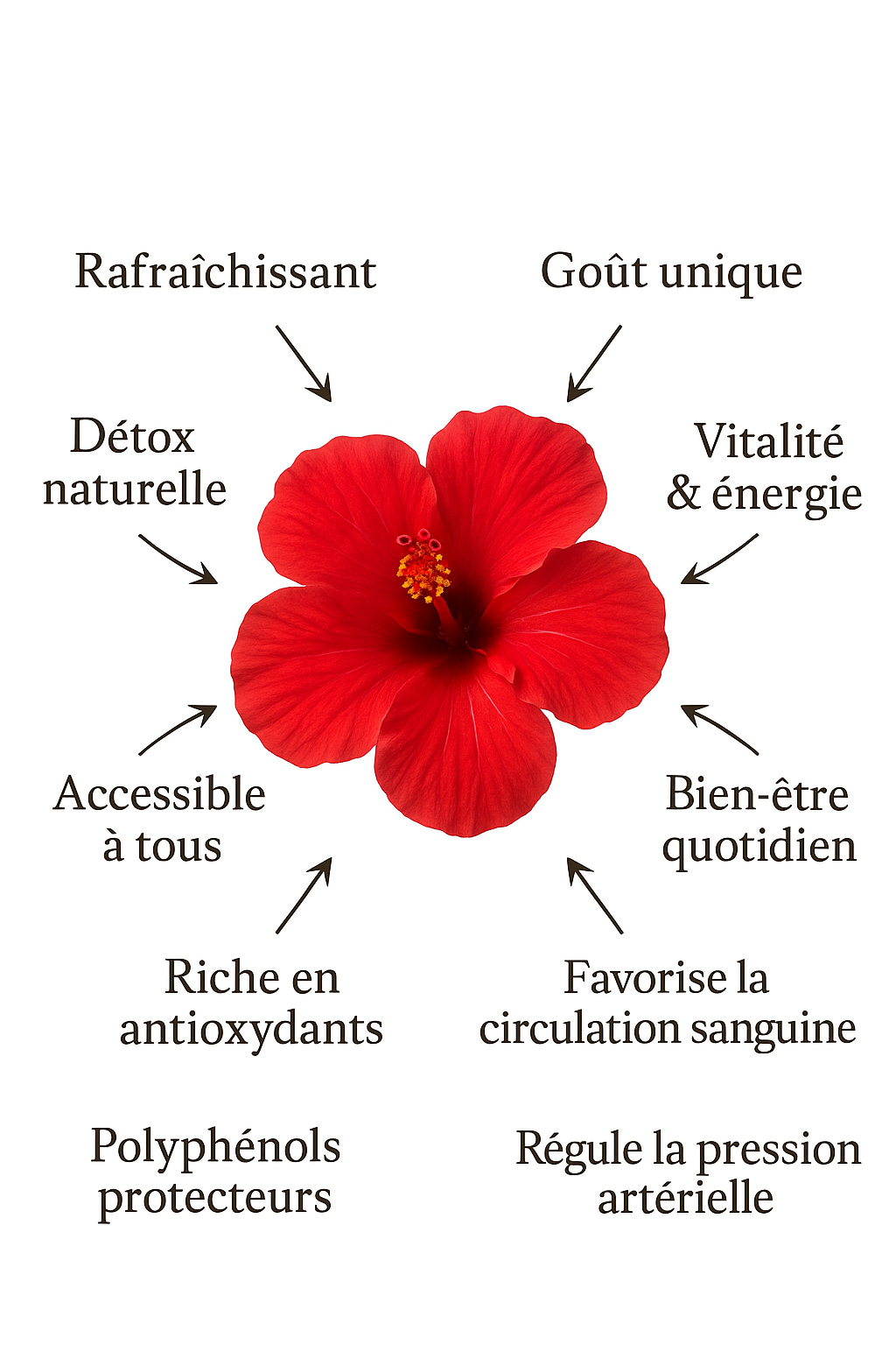 Hibiscus Bio d’Afrique – Le Secret Naturel de Vitalité – 35 g
