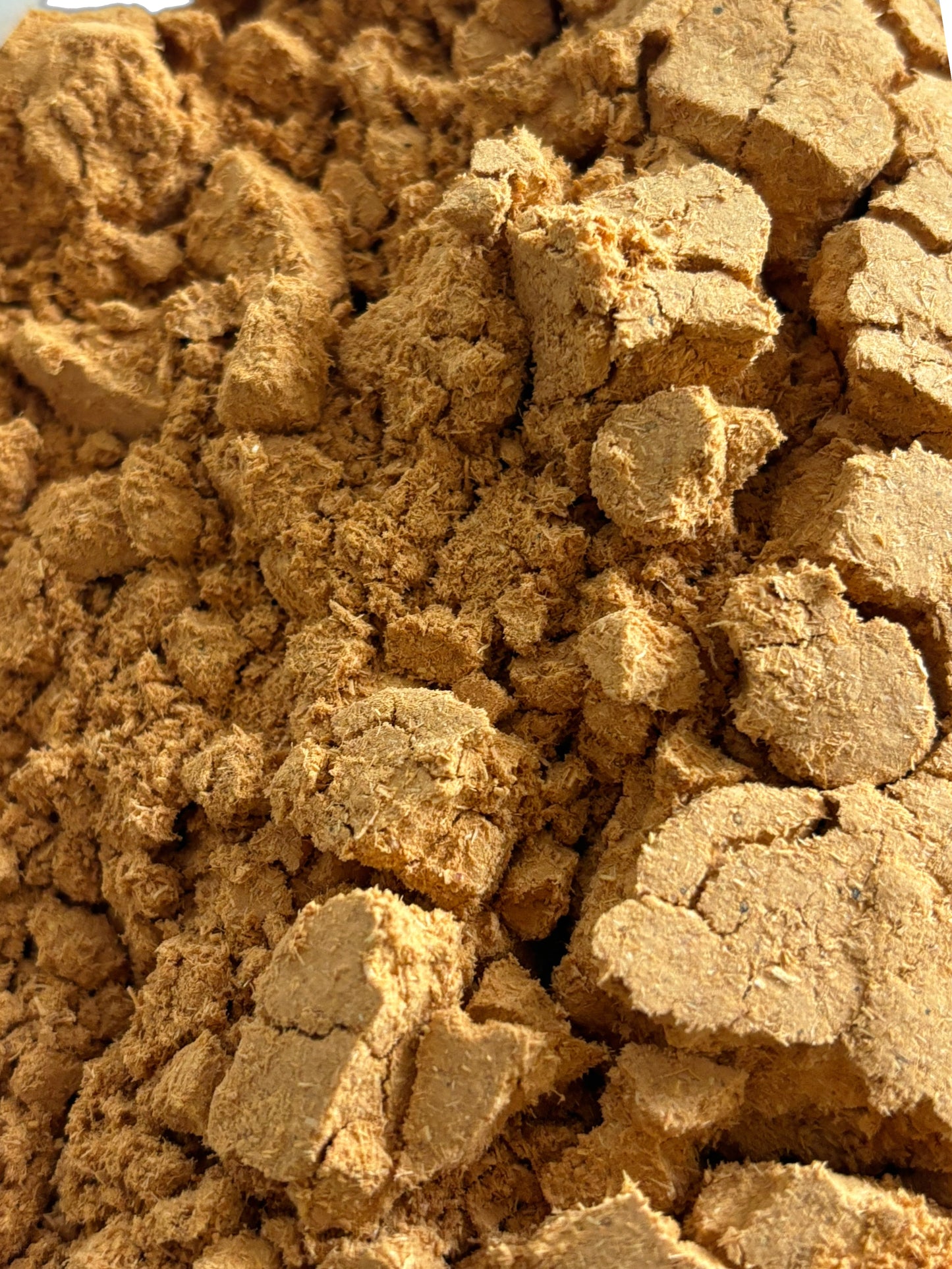 TRIBALA – Plante Traditionnelle Anti-paludique Africaine en Poudre | Énergie, Vitalité, Digestion & Tonus Sexuel | 100 g – 100% Naturel – produit en Côte d'Ivoire.