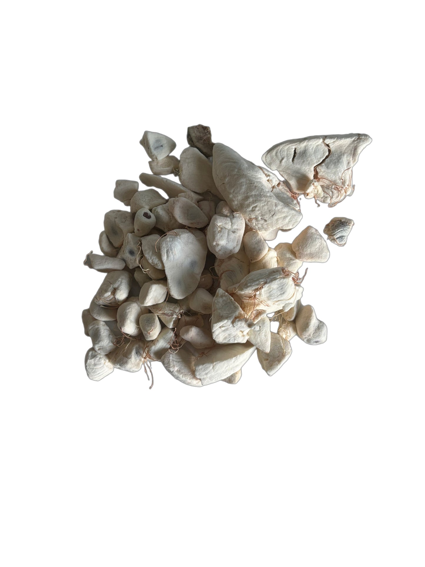 Grains de Baobab Bio – Qualité Premium – Origine Côte d’Ivoire – Sachet Zipé 200g Un superaliment naturel aux multiples bienfaits