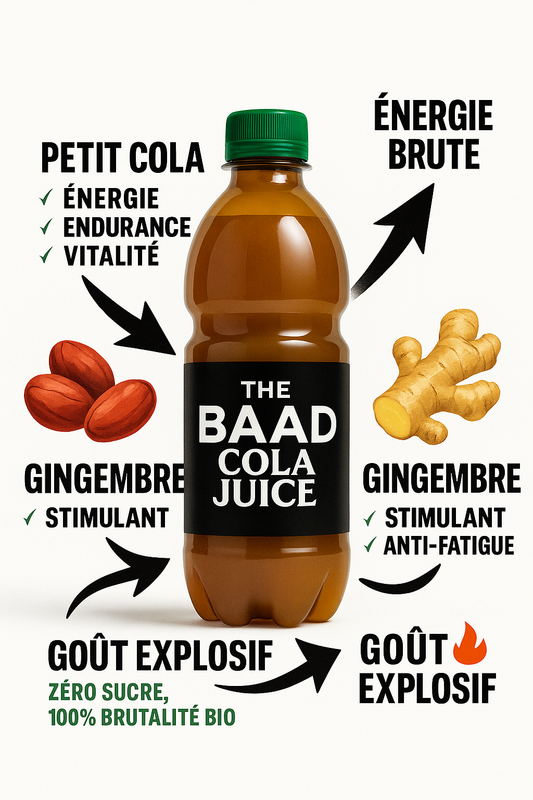 Baad Cola Juice, Boisson Énergisante Bio Premium, 500 ml,Tisane de Cola avec Gingembre, Baobab, Hibiscus, Sans Sucre Ajouté