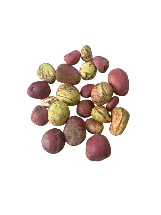 Cola de Côte d’Ivoire 500g – Rouge & Blanc – Naturel, Authentique, Sac Zippé Fraîcheu
